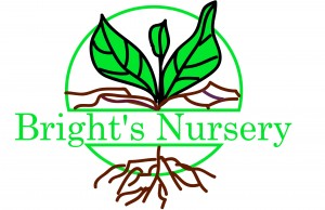 Bright's Nursery